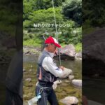 鮎釣りの名人は1分あれば釣る⁉️#フィッシング遊#鮎釣り#友釣り#shorts