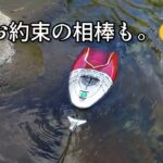 苦手意識の強かった馬瀬川下流に20数年ぶりに行って来ました。