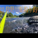 2023 狩野川鮎釣り釣行