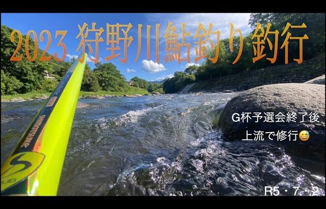 2023 狩野川鮎釣り釣行