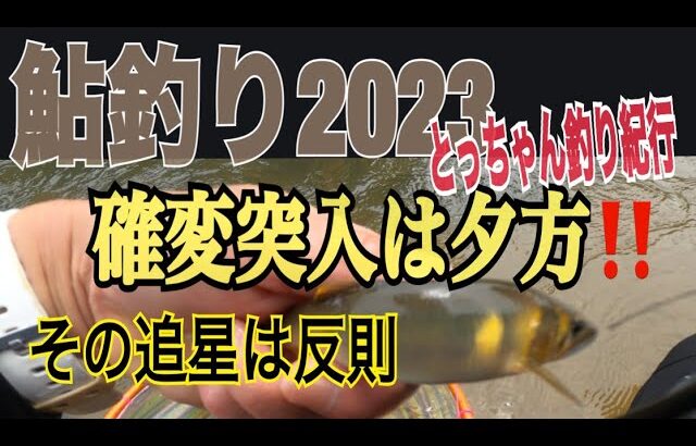 鮎釣り2023 確変突入は夕方⁉️その追星は反則