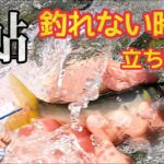 【鮎釣り2023】釣れない時の立ち回り