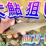2023 鮎釣り ４　【四万十川大鮎狙い】で行ってみた