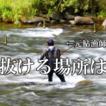 鮎釣り2023　竿抜けポイントと釣り方