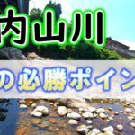 高水温でオトリがヤバい！それでも起死回生の入れ掛かりポイントを見つけたので教えましょう！！【2023年　大内山川の鮎釣り】