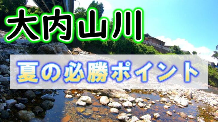 高水温でオトリがヤバい！それでも起死回生の入れ掛かりポイントを見つけたので教えましょう！！【2023年　大内山川の鮎釣り】