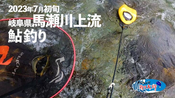 馬瀬川上流で鮎釣り！【2023年・岐阜県】