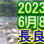 鮎釣り 残り垢新垢狙い ﾊﾝﾊﾞｰｸﾞ下 鶴佐橋上 道満の瀬 長良川 吉田川 2023年