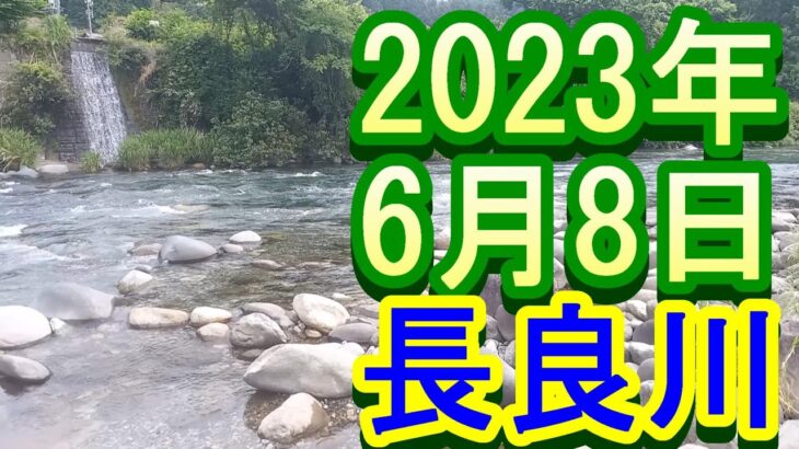 鮎釣り 残り垢新垢狙い ﾊﾝﾊﾞｰｸﾞ下 鶴佐橋上 道満の瀬 長良川 吉田川 2023年