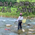 「鮎釣り」2023年鮎釣り解禁日　大野市漁協の真名川・九頭竜川「背中かかりでーす」