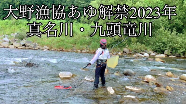 「鮎釣り」2023年鮎釣り解禁日　大野市漁協の真名川・九頭竜川「背中かかりでーす」