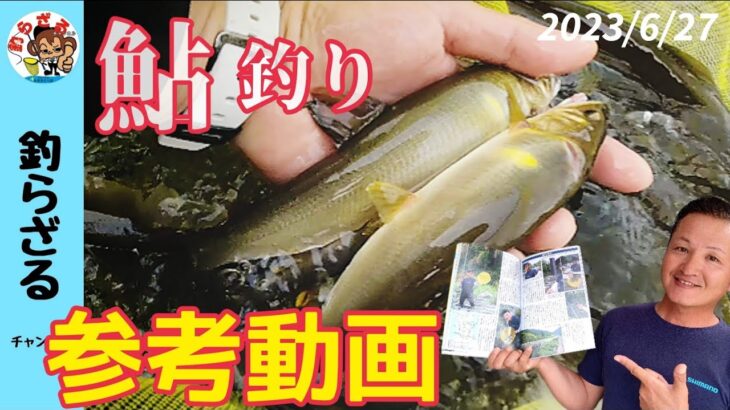 【鮎釣り2023】鮎釣り参考動画！馬瀬川下流