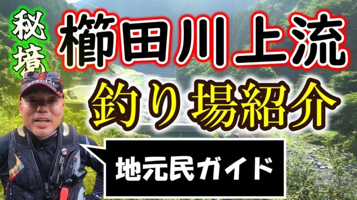 情報解禁！櫛田川上流　アユ釣りポイント【2023年版】
