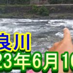 鮎釣り カンジの瀬 藤の森大橋上下 高鷲浄化センター上 長良川  2023年