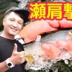 【鮎釣り2023】おとり一匹瀬肩の狙い釣り！