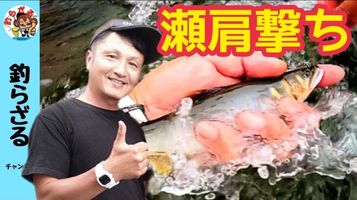 【鮎釣り2023】おとり一匹瀬肩の狙い釣り！