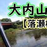 ゲタ屋さんのようには上手に釣れない…丁寧に泳がせてみますが、なかなか難しいですね【2023年　大内山川の鮎釣り】