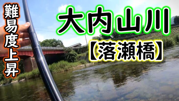 ゲタ屋さんのようには上手に釣れない…丁寧に泳がせてみますが、なかなか難しいですね【2023年　大内山川の鮎釣り】
