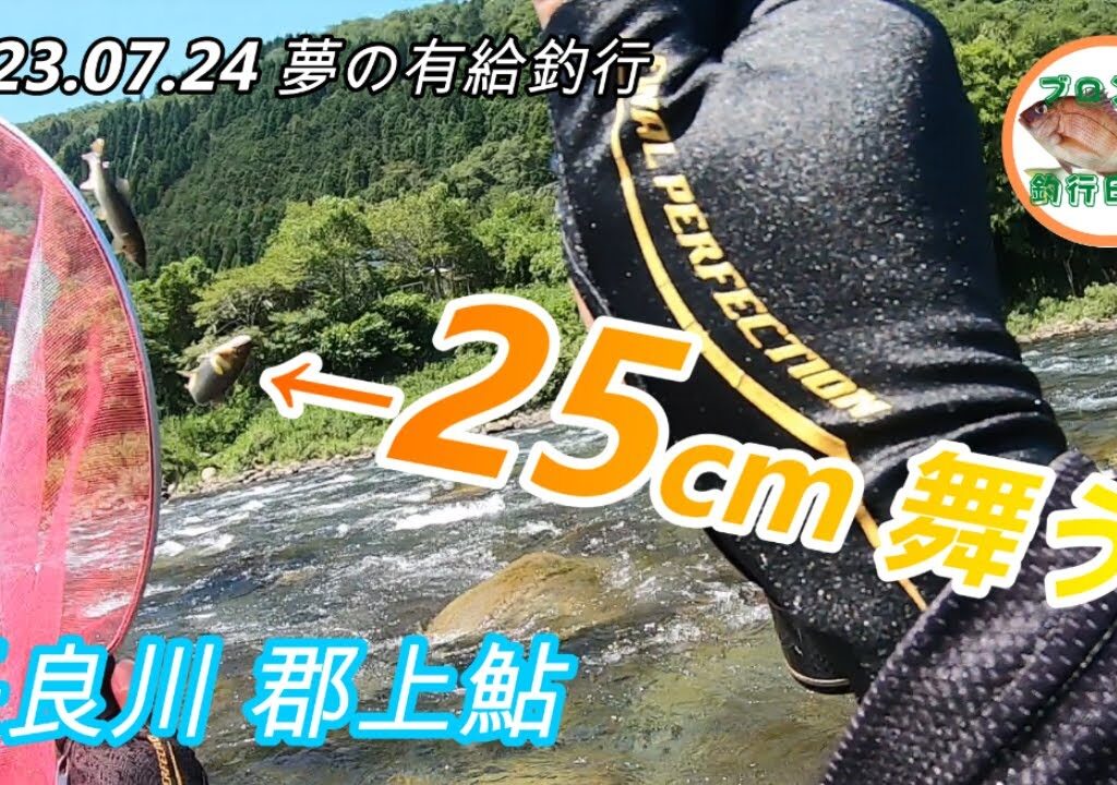 2023.07.24 長良川郡上 25㎝の郡上鮎が舞い！ゴープロ水没！ハイ、終わりました。。。