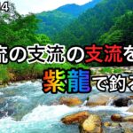 【鮎釣り】白川、黒川、赤川（岐阜県）｜2023.7.14【友釣り】