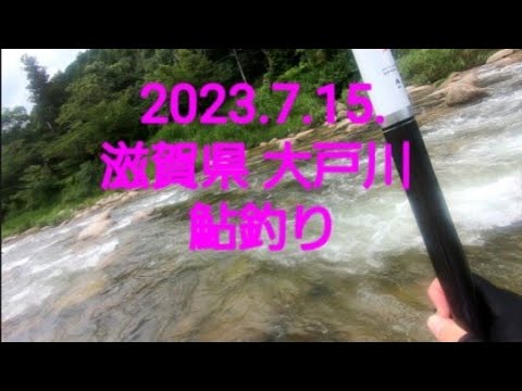 2023.7.15. 滋賀県 大戸川のアユ釣り