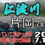アユの友釣り 仁淀川(高知県) 本流 片岡 2023.7.15am