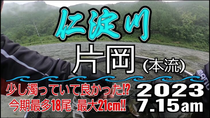 アユの友釣り 仁淀川(高知県) 本流 片岡 2023.7.15am