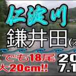 アユの友釣り 仁淀川(高知県) 本流 鎌井田(浅尾沈下橋) 2023.7.15pm