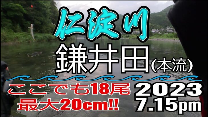 アユの友釣り 仁淀川(高知県) 本流 鎌井田(浅尾沈下橋) 2023.7.15pm