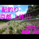 2023.7.16.京都 上桂川  鮎釣り  殿橋上流。