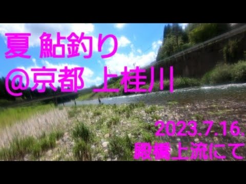 2023.7.16.京都 上桂川  鮎釣り  殿橋上流。