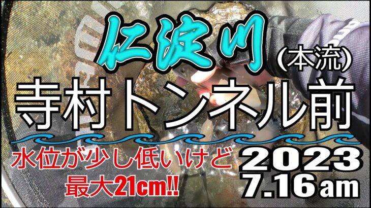 アユの友釣り 仁淀川(高知県) 本流 寺村トンネル前 2023.7.16am