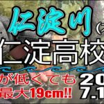アユの友釣り 仁淀川(高知県) 本流 旧仁淀高校前 2023.7.17am