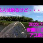 2023.7.2. 滋賀県 安曇川 広瀬の  鮎釣り