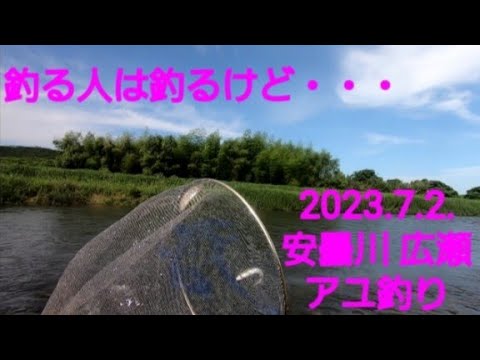 2023.7.2. 滋賀県 安曇川 広瀬の  鮎釣り