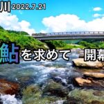 【鮎釣り】東白川（岐阜県）｜2023.7.21｜7.16益田川も少しだけ【友釣り】