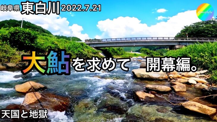 【鮎釣り】東白川（岐阜県）｜2023.7.21｜7.16益田川も少しだけ【友釣り】