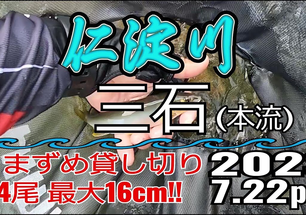 アユの友釣り 仁淀川(高知県) 本流 三石 2023.7.22pm