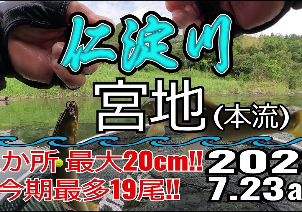 アユの友釣り 仁淀川(高知県) 本流 宮地 2023.7.23am