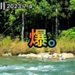 【鮎釣り】黒川（岐阜県）｜2023.7.4【友釣り】
