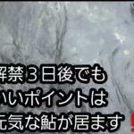 粕尾川鮎釣り🐟　解禁３日目　2023.7.5