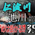 アユの友釣り 仁淀川(高知県) 池川地区(安居川) 2023.7.8pm