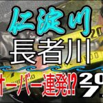 アユの友釣り 仁淀川(高知県) 長者川(三所神社周辺) 2023.7.9
