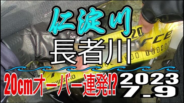 アユの友釣り 仁淀川(高知県) 長者川(三所神社周辺) 2023.7.9
