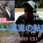 猛暑日は、涼しい!渓流の鮎釣り!神流川上流。鮎釣り!スパーク!2023（5）