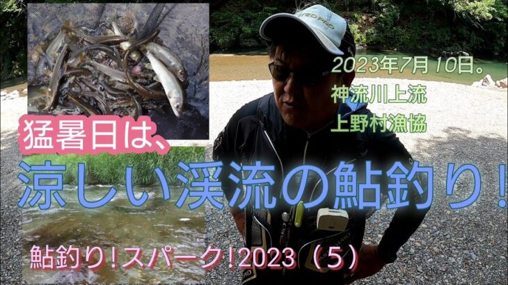 猛暑日は、涼しい!渓流の鮎釣り!神流川上流。鮎釣り!スパーク!2023（5）