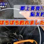 岐阜県郡上市長良川に鮎友釣りに行って来ました。2023年6月の釣行です。