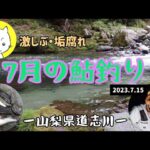 道志川で鮎釣りキャンプ！ー2023年7月ー山梨県