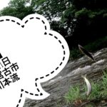 【鮎釣り】2023年7月1日 岩手県宮古市閉伊川本流　解禁日はまさかのスタート…