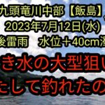 引き水の大型狙い！果たして釣れたのか？　福井県九頭竜川中部【飯島】2023年7月12日(水)